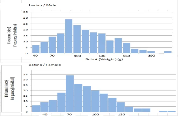 Gambar 1.  Pola distribusi bobot individu populasi ikan nila (Patterns of individual weight distribution of ti- ti-lapia population)        