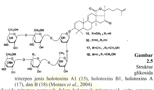 Gambar  Struktur 2.5  glikosida  triterpen  jenis  holotoxins  A1  (15),  holotoxins  B1,  holotoxins  A  (17), dan B (18) (Moraes et al., 2004) 