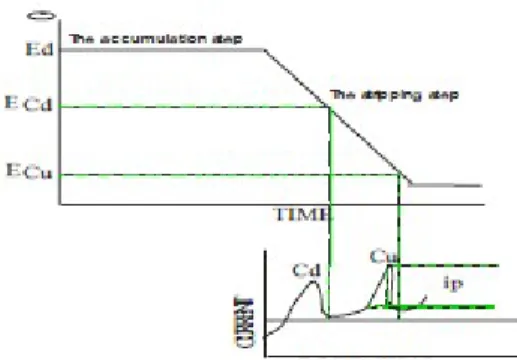 Gambar 3. Scan Potensial untuk Voltametri Pelucutan Anoda (Wang, 1994) b. Voltametri Pelucutan Katoda (Chatodic Stripping Voltammetry)