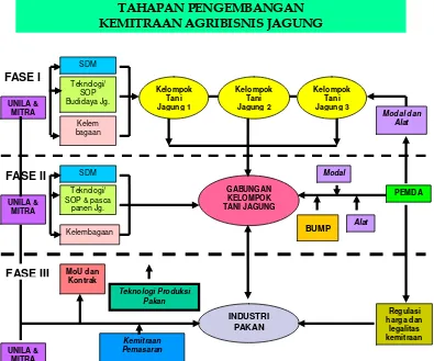 Gambar 2.  Model operasional Program FPPED melalui Pengembangan    Agribisnis Jagung di Desa Bandar Agung Kecamatan Bandar    Sribhawono Kabupaten Lampung Timur