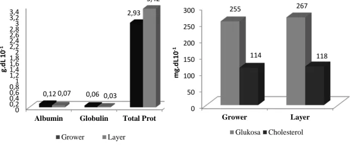 Gambar 1.  Profil  Rata-rata Konsentari Parameter Biokimia Darah Ayam  Ras Petelur Fase Grower Dan Layer sebagai Indikator Respon  Cekaman Temperatur Lingkungan  