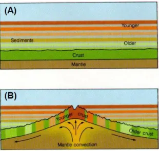 Gambar 2.4 (A) Tanpa pemekaran dasar samudera, keseluruhan dasar samudera akan tertutup oleh tumpukan  lapisan  tebal  sedimen  laut