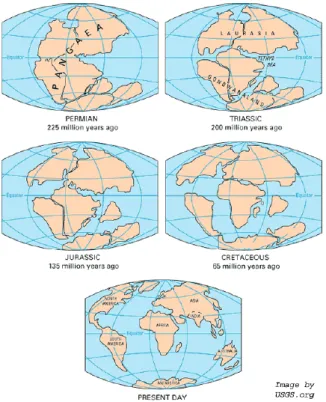Gambar 1.2 Rekaan yg dibuat Wegener ttg rekonstruksi perge-seran benua sejak 225 juta tahun yg  lalu hingga saat ini (Sumber: www.usgs.org) 