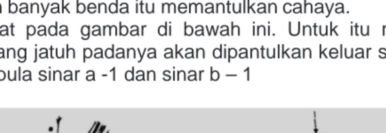 Gambar 9.1. Contoh Sinar a-1 Dan b-1 Sumber : Kusumadewi (1981)