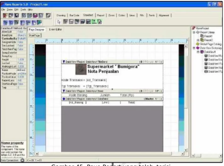 Gambar E9. Pae Peport yan% telah  terisi.