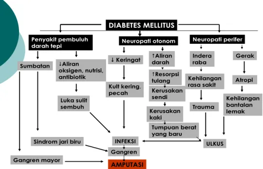 Gambar 4. Pathogenesis terjadinya ulkus DM 