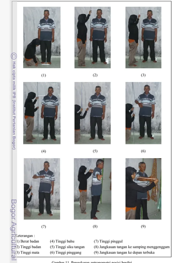 Gambar 11. Pengukuran antropometri posisi berdiri 