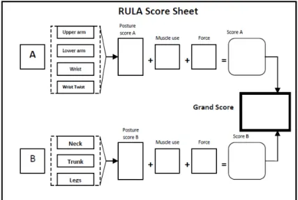 Gambar 2.7 Papan nilai RULA (nilai total) 