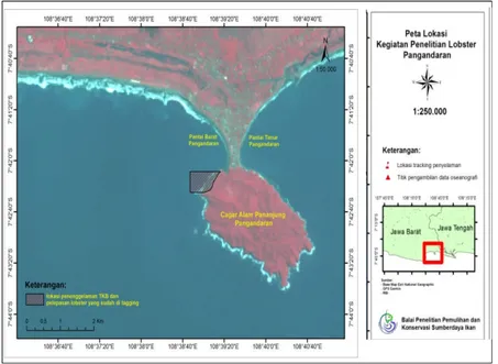 Gambar 1. Lokasi penebaran lobster bertanda di Pantai Barat Pangandaran