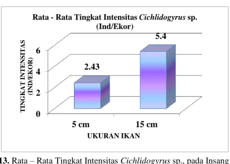 Gambar 13. Rata – Rata Tingkat Intensitas Cichlidogyrus sp., pada Insang Ikan  Nila Ukuran 5 cm dan 15 cm Seluruh Stasiun (5 Stasiun) dalam 3 Kali 