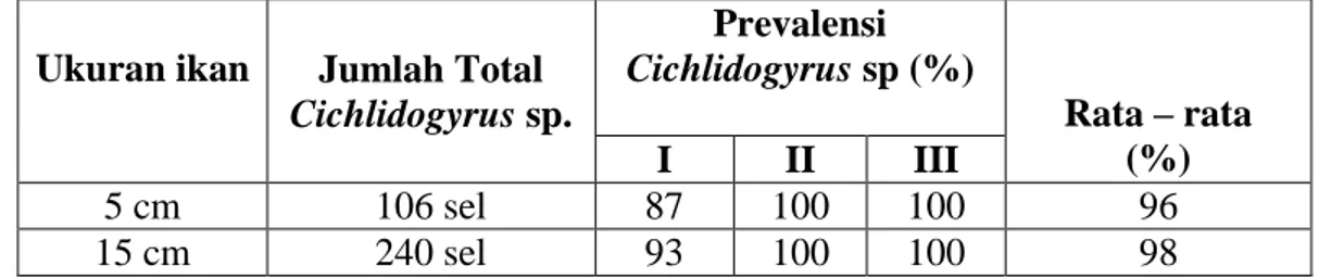Tabel 3.Rata – Rata Tingkat Prevalensi Cichlidogyrus sp., pada Insang Ikan  Nila  Ukuran  5  cm  dan  15  cm  Seluruh  Stasiun  (5  Stasiun)  dalam  3  Kali Pengambilan Selama 3 Minggu 