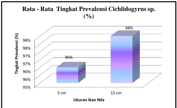 Gambar  11. Rata – Rata Tingkat Prevalensi Cichlidogyrus sp., pada Insang Ikan  Nila Ukuran 5 cm dan 15 cm Seluruh Stasiun (5 Stasiun) dalam 3 Kali 