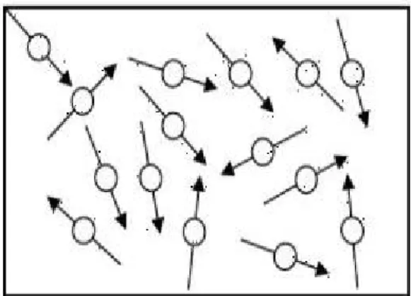 Gambar 2.1 Arah domain-domain dalam bahan paramagnetik sebelum  diberi medan magnet luar 