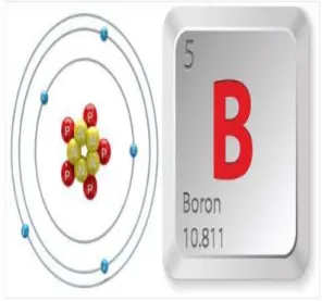 Gambar 12. Struktur Atom Unsur Boron