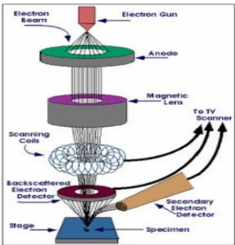 Gambar 13. Scanning Electron Microscope (SEM) (www.google.com) 
