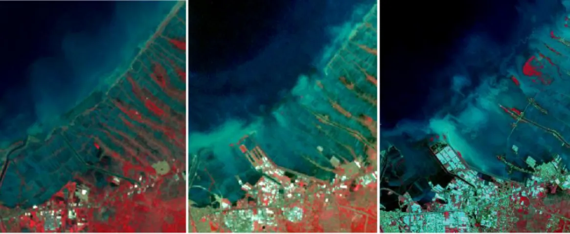 Gambar 1.1. Citra satelit wilayah pantai Kecamatan Sayung, Kabupaten Demak  
