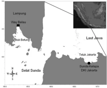 Gambar 1. Lokasi penelitian. Sunda Kelapa Jakarta (    ), Way Belau Lampung (    ), insert Pulau Jawa dan  Sumatra Indonesia.