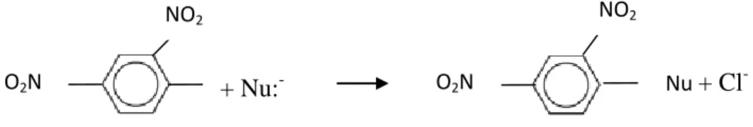 Gambar 10.15  Halobenzena dan Substitusi Aromatik Nukleofilik 