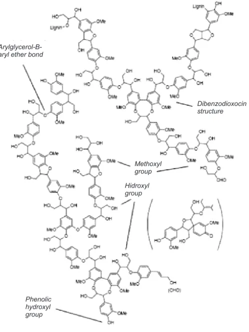 Gambar 1. Struktur molekul lignin Figure    1. Structure of lignin molecular Sumber (Source) : Brunow, 1998