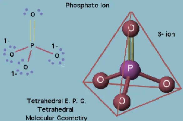 Gambar 1. Struktur Fosfat 