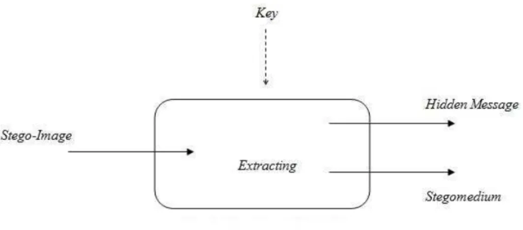 Gambar 2.7 Diagram Proses Extraction 