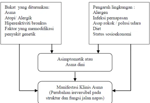 Gambar 1. Interaksi faktor genetik dan lingkungan pada kejadian asma