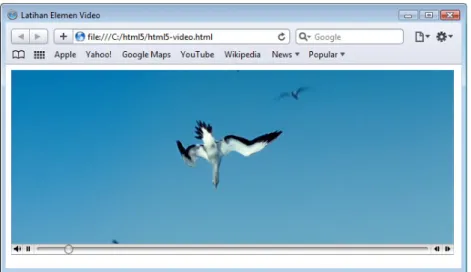 Gambar 1.1 Tampilan Video Player di browser Safari 4