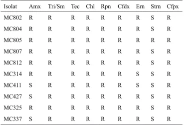 Tabel 3. Resistensi beberapa isolat bakteri asam laktat asal  PDQGDL terhadap beberapa antibiotik