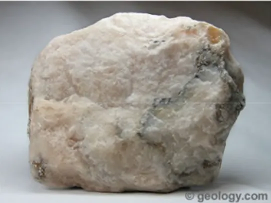Gambar 2.7 Gypsum (geology.com) 2.8 Kerang Hijau