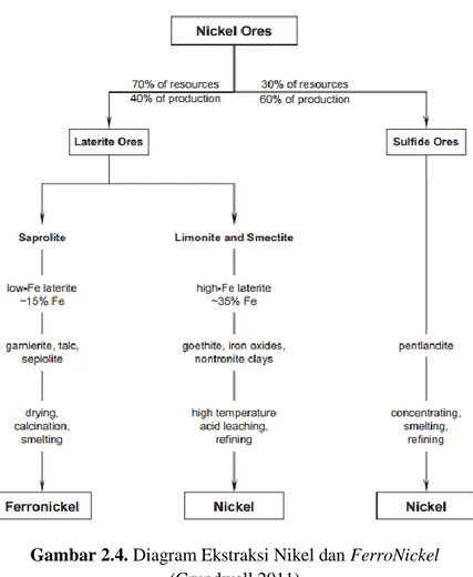 Gambar 2.4. Diagram Ekstraksi Nikel dan FerroNickel  (Crundwell 2011) 