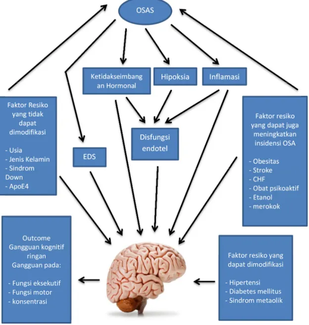 Gambar 1. Patogenesis gangguan fungsi kognitif pada OSAS 47 