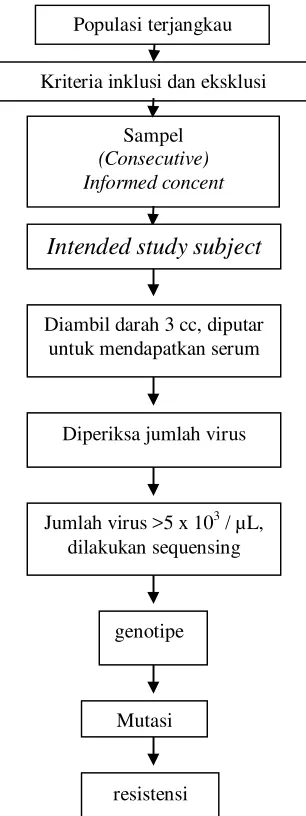 Gambar 3.1  Alur Penelitian 