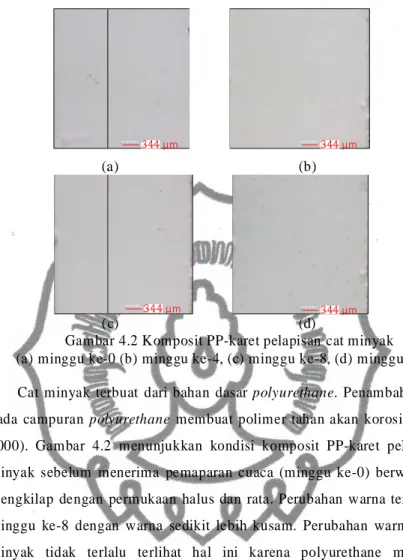 Gambar 4.2 Komposit PP-karet pelapisan cat minyak -0 (b) minggu ke-4, (c) minggu ke-8, (d) minggu ke Cat  minyak  terbuat  dari  bahan  dasar  polyurethane