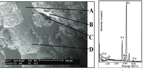 Gambar 4.a Mikrostruktur permukaan SS-430 yang dicelupkan pada larutan NaCl 0,5 M, yang  dihasilkan dari foto SEM