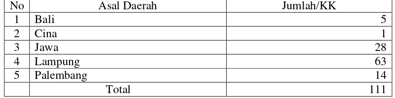 Tabel 1. Penduduk RT 04 Lingkungan III Labuhan Ratu berdasarkan Asal Daerah, Tahun 2009 