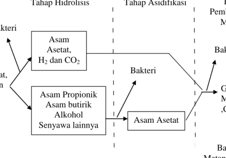 Gambar II.1Tahapan ProsesPembentukan Biogas (Sufyandi, A., 2001) 