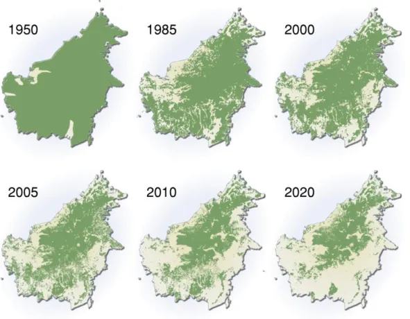 Figure  9:  Jangkauan  pembakaran  hutan  di  Borneo  1950-2005,  dan  proyeksi  pada  tahun  2020  (UNEP/GRID- (UNEP/GRID-Arendal, 2007) 