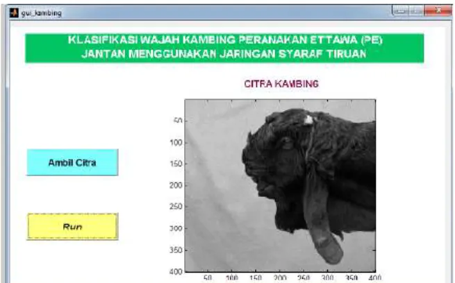 Gambar 10. Tampilan muka pengklasifikasi kambing PE  jantan. 