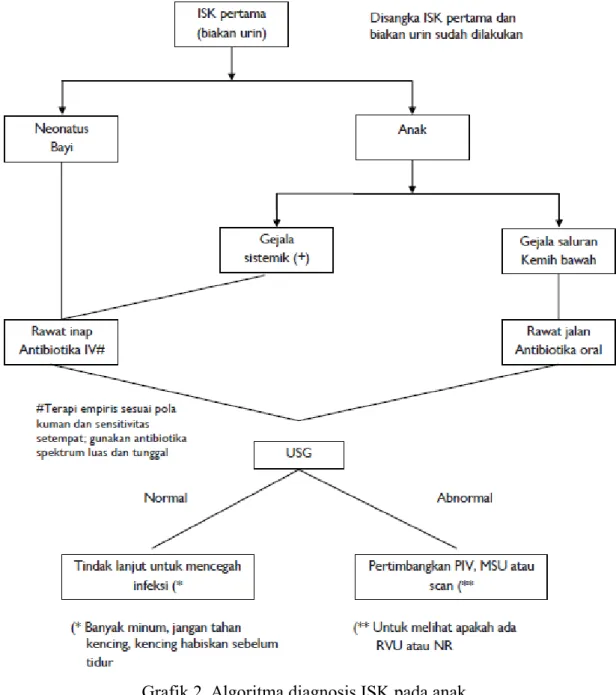 Grafik 2. Algoritma diagnosis ISK pada anak Tabel 1. Interpretasi hasil kutur urin