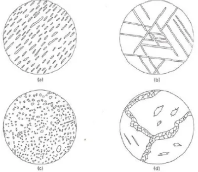 Gambar  2.12.  Beberapa  kenampakan  khas  tekstur  eksolusi  pada  mineral  sulfida  dan  oksida  (Evans,  1993)