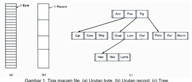 Gambar 1. Tiga macam file. (a) Urutan byte. (b) Urutan record. (c) Tree. 