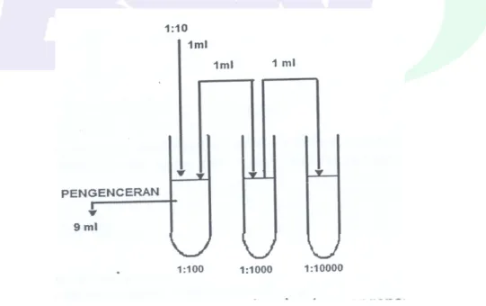 Gambar A.1 - Tingkat pengenceran menggunakan larutan pengencer Butterfield’s  hosphate Buffered Dilution Water (BPB) 