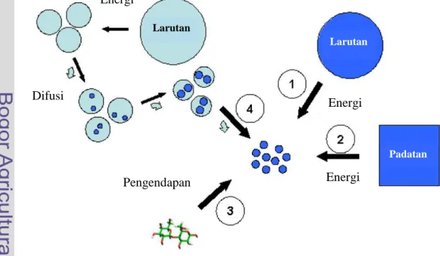 Gambar 3 Pembuatan nanopartikel (Haskell 2005) 