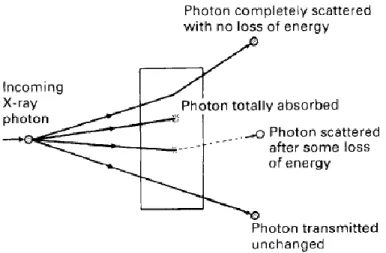 Gambar 2. Diagram yang menggambarkan interaksi yang terjadi ketika Sinar X mengenai suatu  unsur 