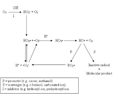 Figure 2.2 Scheme of ozone decomposition in water (Beltran, 2003) 