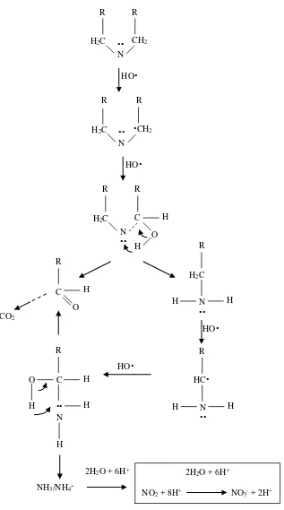 Figure 2.3 Reaction oxidation scheme of secondary amine by hydroxyl radical  