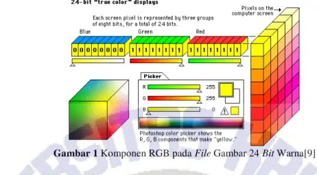 Gambar 1 Komponen RGB pada File Gambar 24 Bit Warna[9]