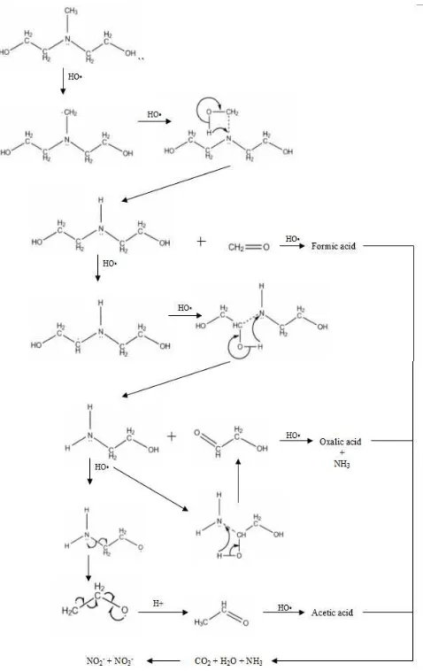 Figure 5. The mechanism hypothesis of MDEA degradation by hydroxyl radical. 