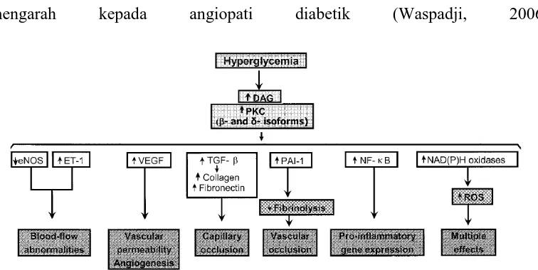 Gambar 2.4 Peranan hiperglikemia dalam menginduksi PKC 
