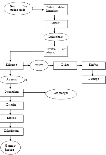 Gambar 1. Diagram alir proses pengolahan gambir (Nazir, 2000)  